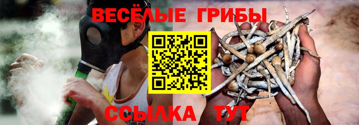 Псилоцибиновые грибы Cubensis Рассказово