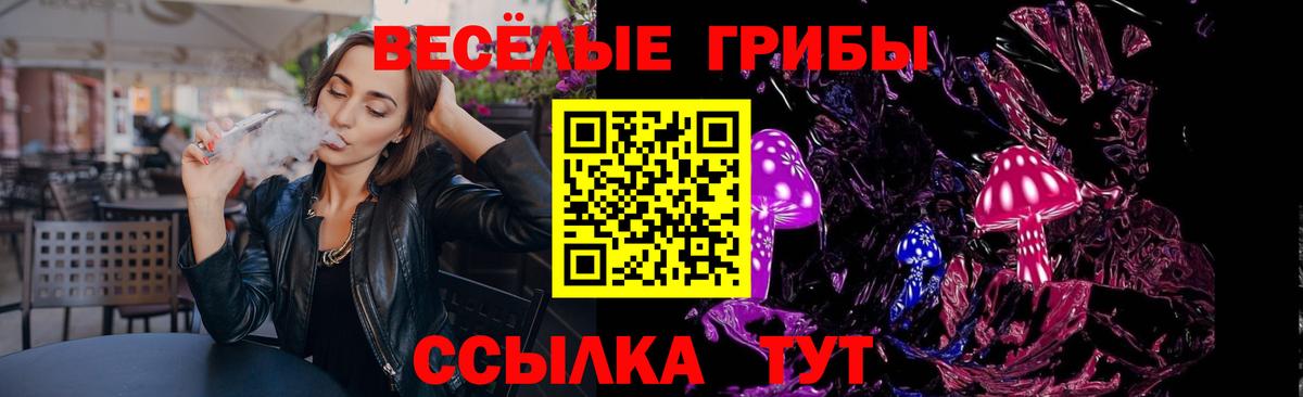 Рассказово  Галлюциногенные грибы MAGIC MUSHROOMS  Вход с VPN  Псилоцибиновые грибы GOLDEN TEACHER 